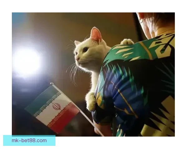 美加墨世界杯竞猜盘口分析与预测未来走势及热门投注建议 美加墨世界杯竞猜盘口分析与预测未来走势及热门投注建议